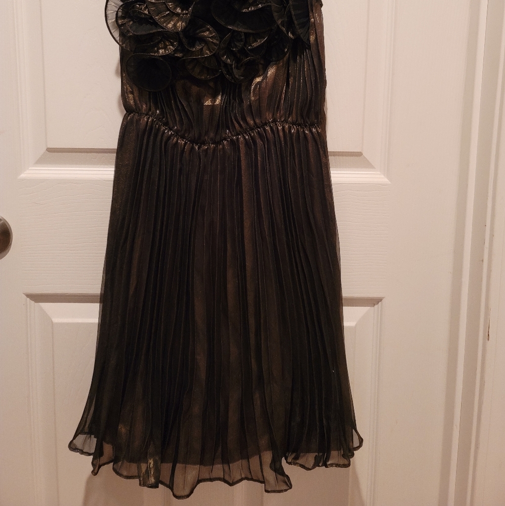 Dress - Picture 5 of 5